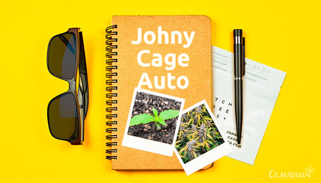 Гроурепорт по выращиванию сорта Auto Johnny Cage
