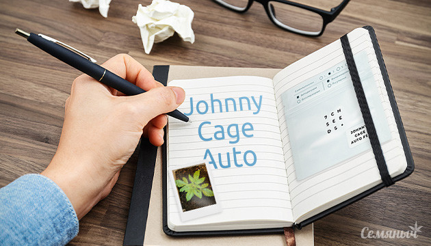 Гроурепорт по выращиванию сорта конопли Auto Johnny Cage