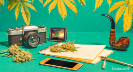 Квиз для ценителей каннабиса: насколько хорошо ты знаешь эту тему?