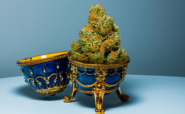 Выбор бокса: не только эстетика Контейнер для каннабиса: потребности и условия хранения