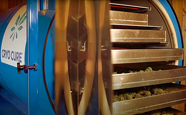 Замораживание и сушка Cryo Cure