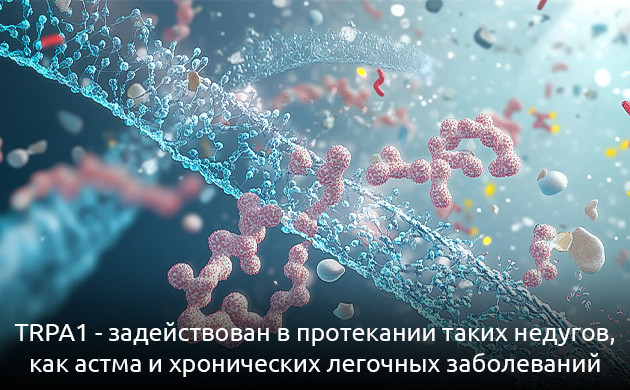 Роль TRPA1 в терапии