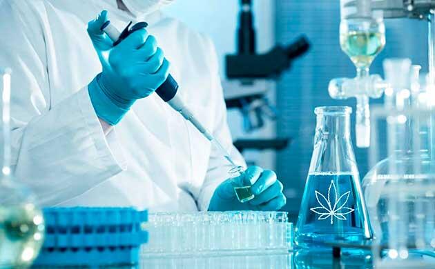 Каннабиноиды конопли и их синтез