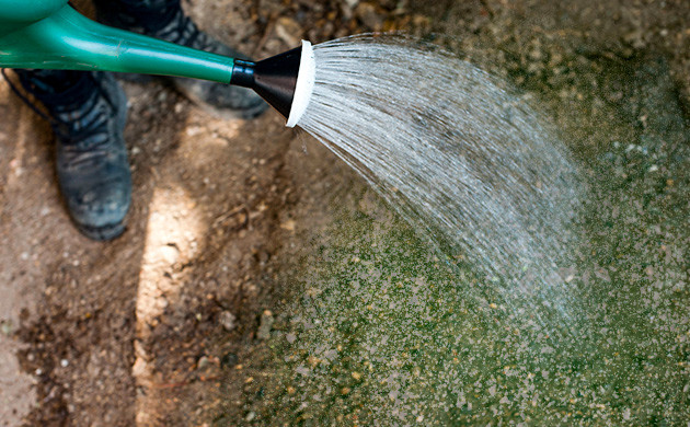 Полив после внесения удобрений Важность полива при поверхностной подкормке