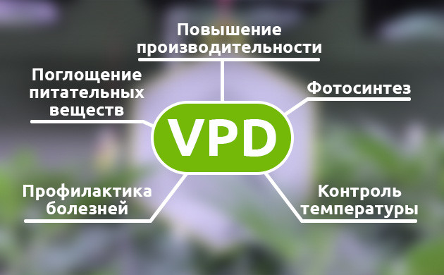 VPD и влияние на фотосинтез