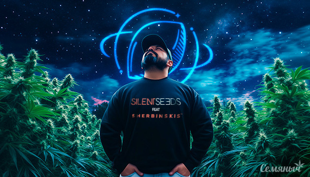 Новинки от селекционеров Sherbinskis x Silent Seeds