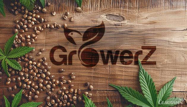 GroverZ: Семена конопли для домашнего выращивания