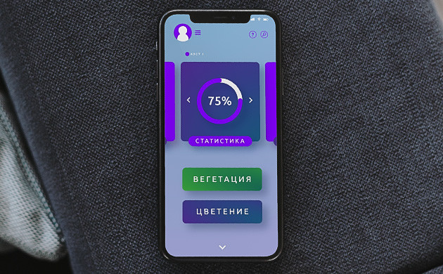 Вегетативный и генеративный рост конопли