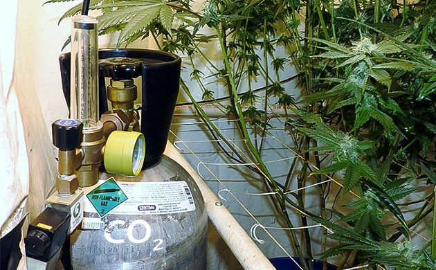 Диоксид углерода (CO2) для повышения урожайности автоцветов