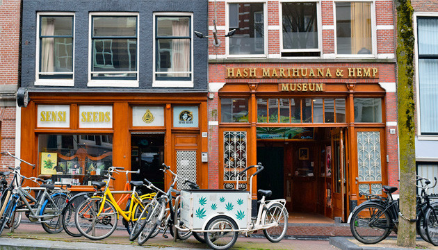 Канна-музей Hash Marihuana Hemp Museum