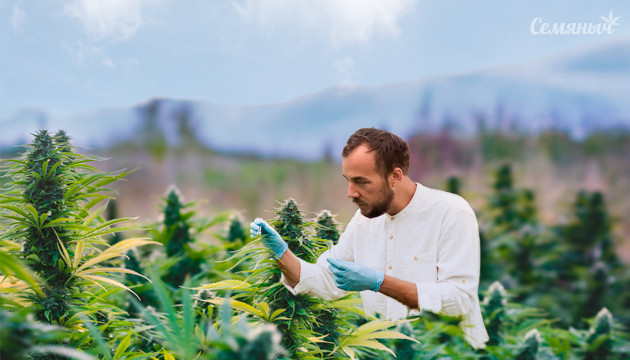 Как улучшить качество урожая