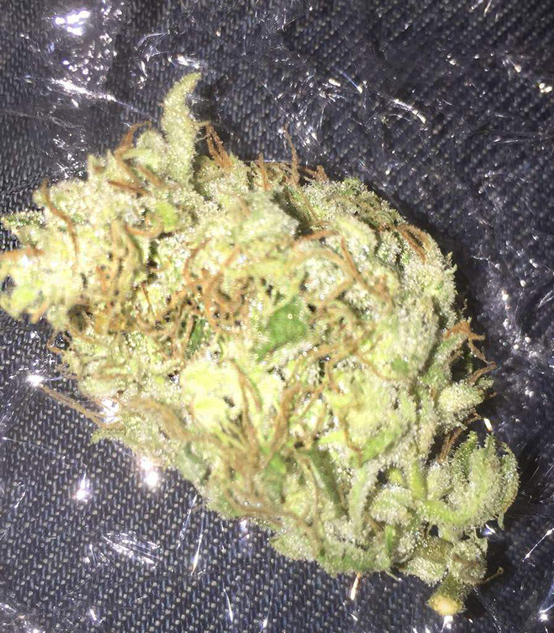 Высушенная шишка LSD