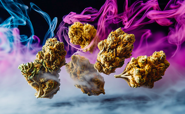 Эффект Acapulco Gold: энергия, ясность и творческое вдохновение