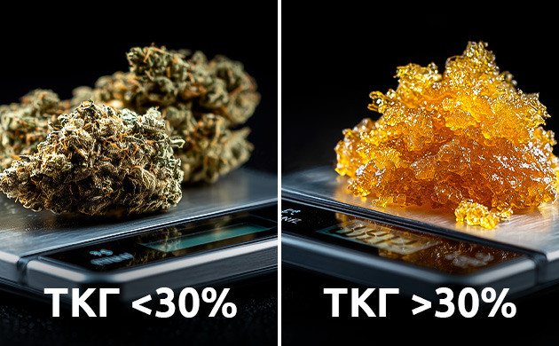 Концентраты мощнее шишек