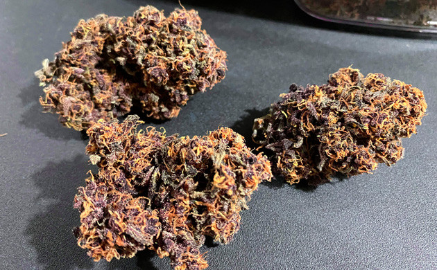 Сухие шишки