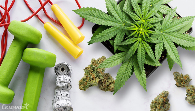 Сочетание высоко и низкострессовых тренировок