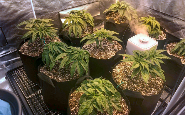 Установка нового освещения