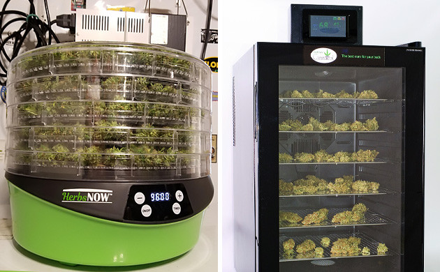 Садовый дегидратор для сушки конопли