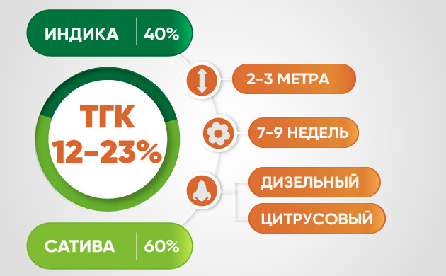 Параметры гибрида Diesel