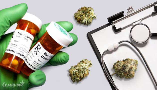 Медицинская марихуана: что лечит