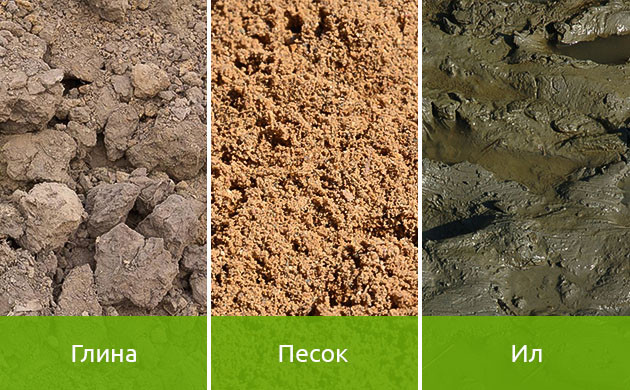 Минералы живой почвы