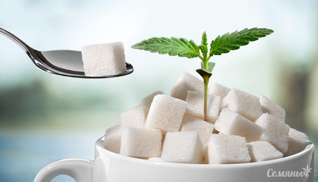 Сахар и конопля