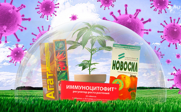 Иммуномодуляторы Агат и Новосил