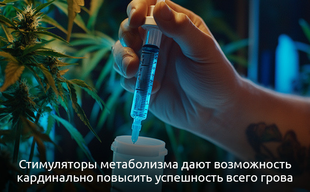 Роль метаболизма в жизни растений Метаболизм растений: ключевые процессы