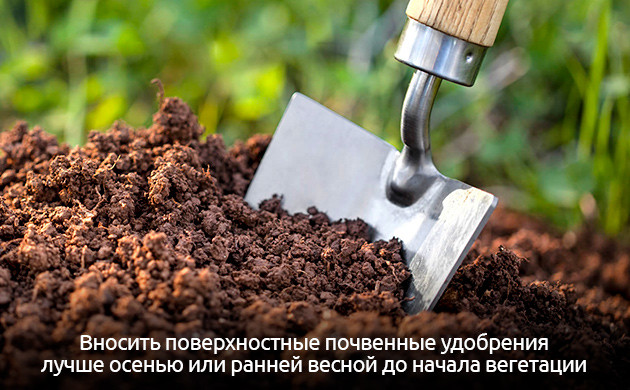 Время внесения органических удобрений Подготовка к вегетации: когда вносить удобрения
