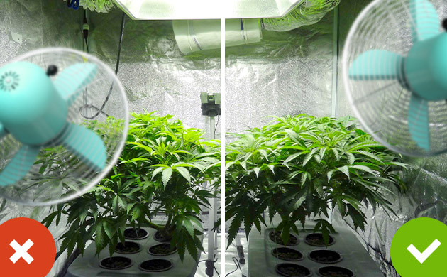 Правильная установка вентиляции в гроубоксе Направление обдува вентилятора в боксе