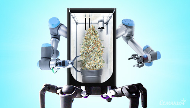 Автоматизация работы в гроубоксе Автоматизированный бокс