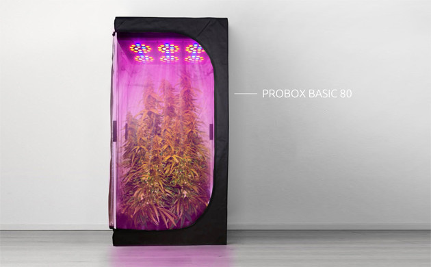 Гроутент для выращивания марихуаны Probox Basic 80 Гроутент для выращивания конопли
