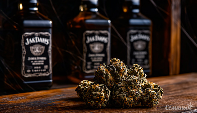 Легализация каннабиса ударила по продажам Jack Daniel’s