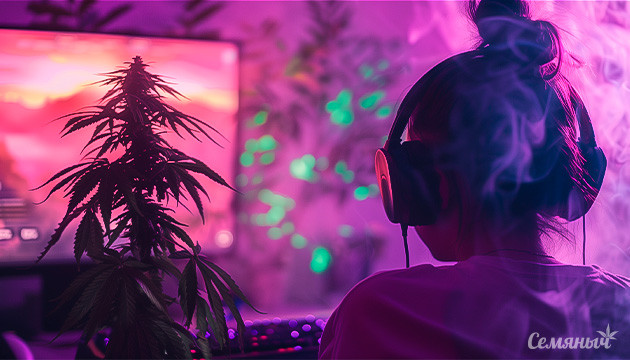Как каннабис влияет на реакцию в киберспорте