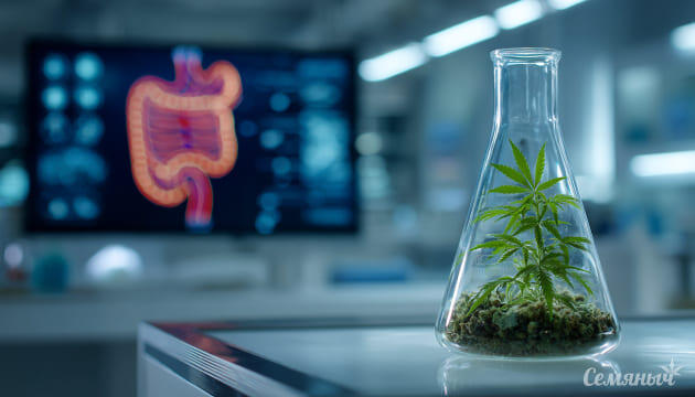 ВОЗ включила в список недугов болезнь курильщиков марихуаны