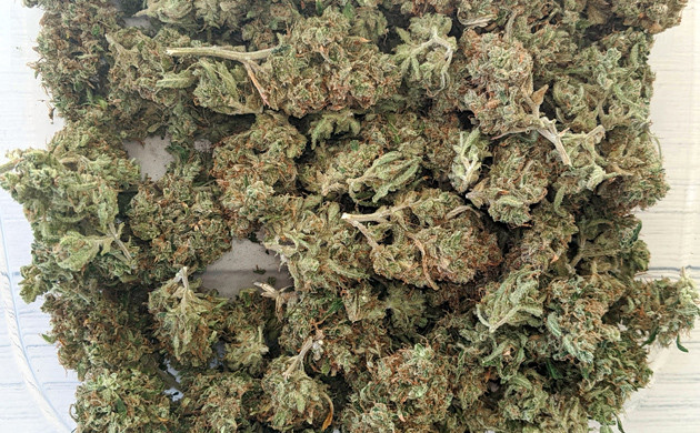 Собранный урожай Girl Scout Cookies auto fem