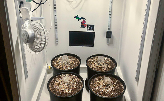 Четыре 20 литровых горшка в гроубоксе