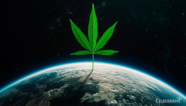 Есть ли польза от конопли для экологии