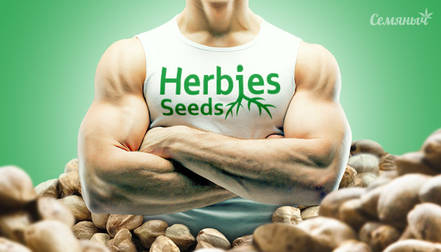 Cидбанк Herbies Seeds
