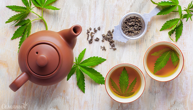 Чай из конопли