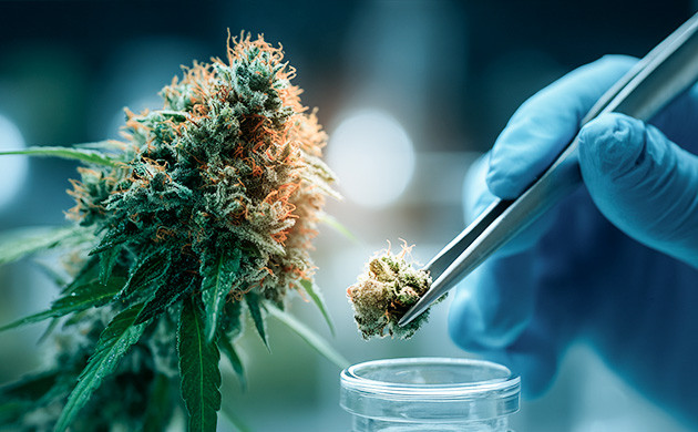 Как ТГКк и другие кислотные формы превращаются в психоактивные каннабиноиды при нагреве Декарбоксилирование каннабиноидных кислот в активные каннабиноиды