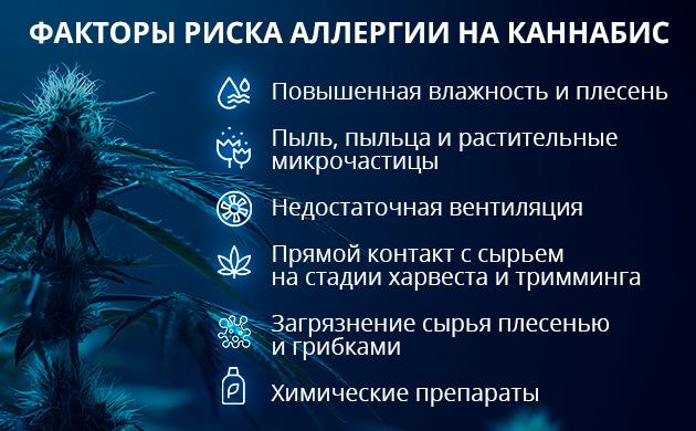 Факторы, усиливающие риск появления аллергии на каннабис