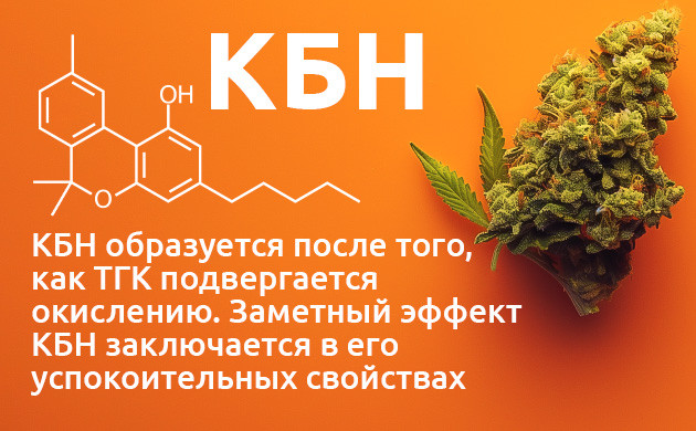 История и применение КБН