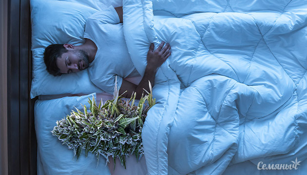 Каннабис и сон