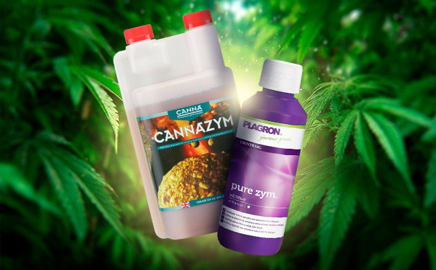 Cannazym и Pure Zym — ферменты для чистой и здоровой почвы