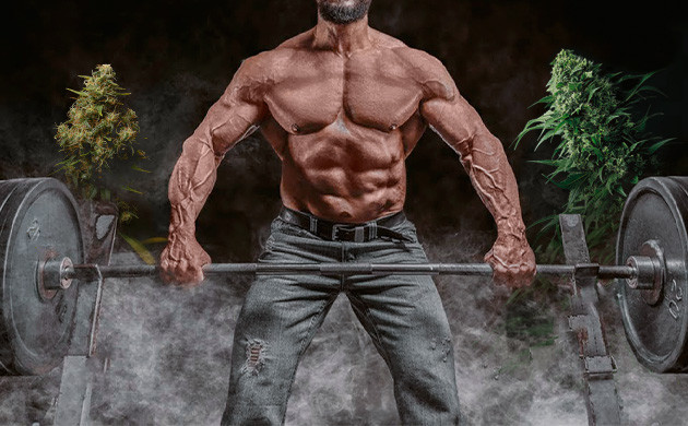 Конопля и штанга