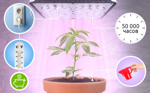 Светодиодное освещение Преимущества LED светильников