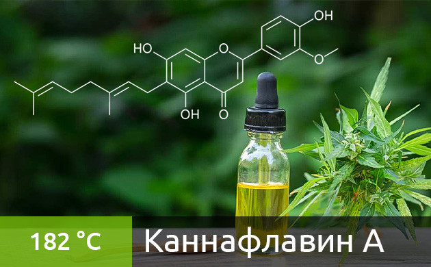 Оптимальная температура для вейпинга каннафлавина А (182 °C)