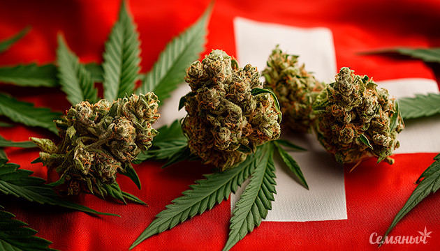 Легализация каннабиса в Швейцарии 2026