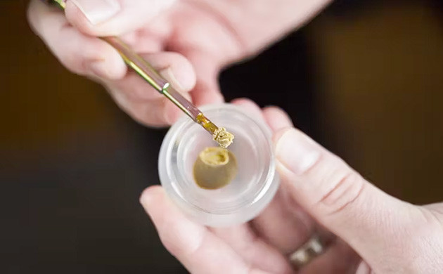 Что такое даббинг марихуаны? Суть и процесс даббинга